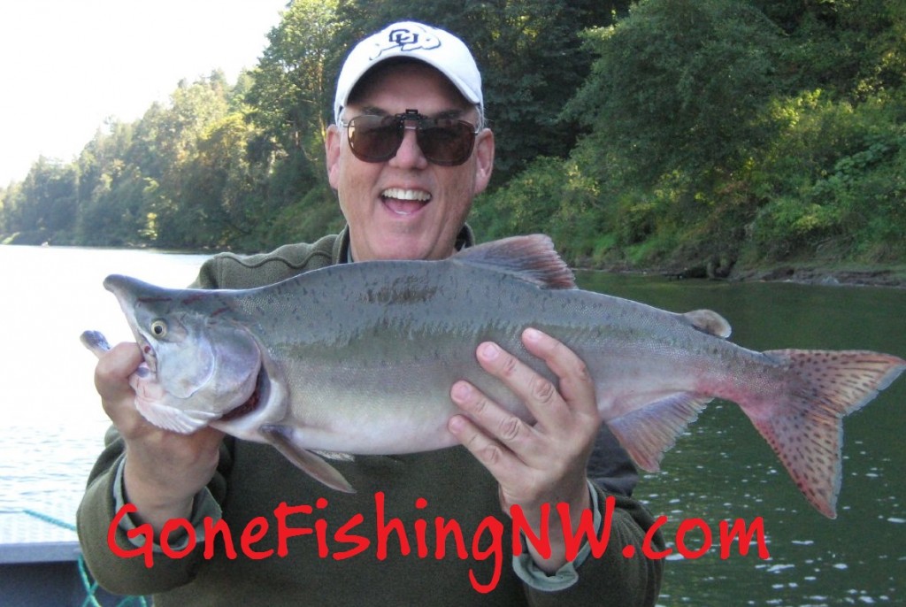 Pink Salmon Gone Fishing Northwest
