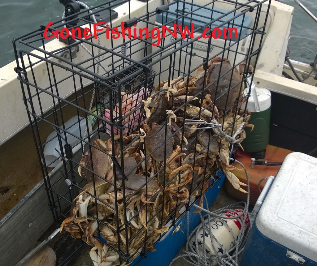 Pot Full Of Crab Gone Fishing Northwest