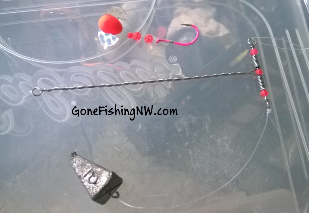 Pink Salmon Fishing Basics Plunking Gone Fishing Northwest