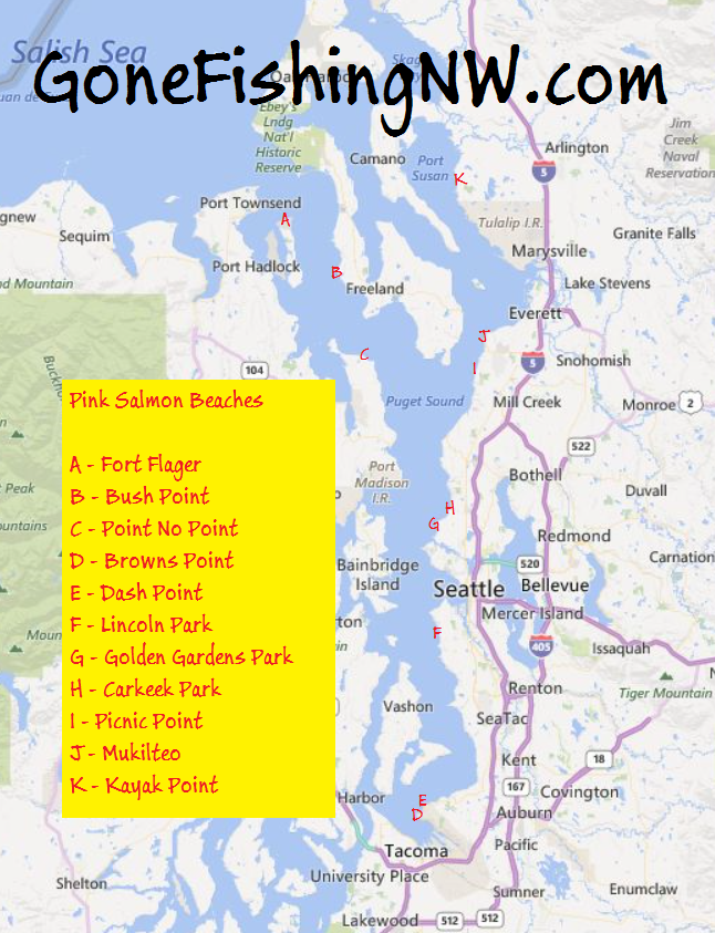  Mapa de playa de Salmón rosa Puget Sound