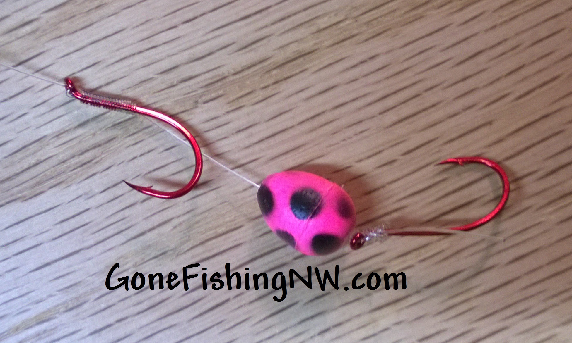 Attaching Roe with an Egg Loop – Gone Fishing Northwest