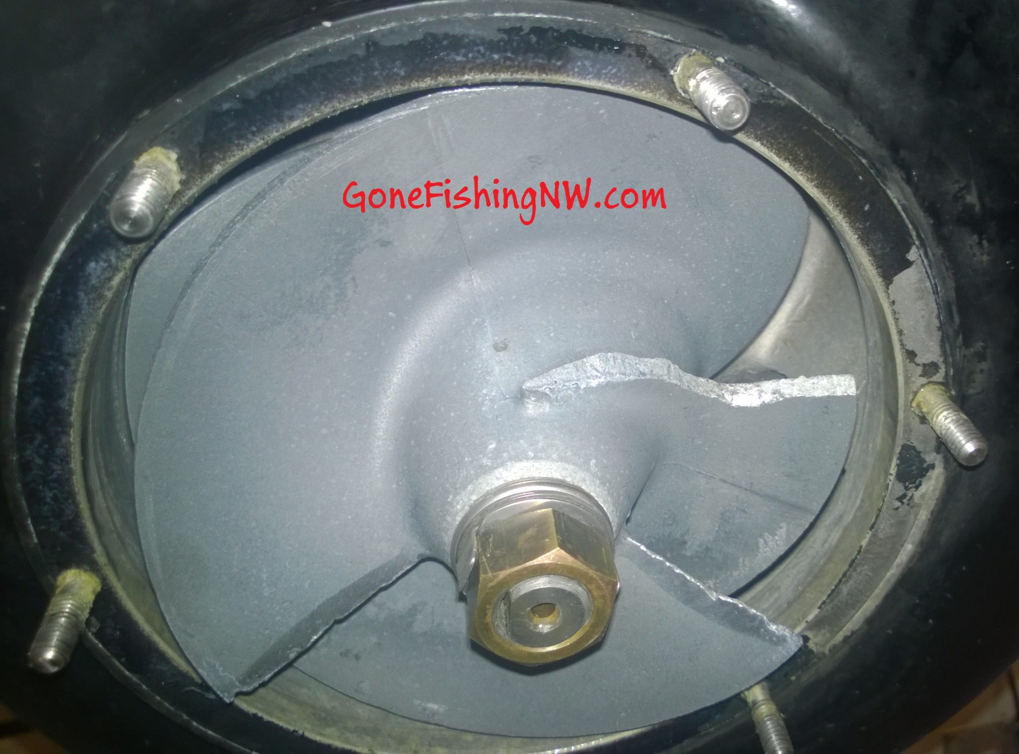 Replacing an Outboard Jet Impeller Gone Fishing Northwest