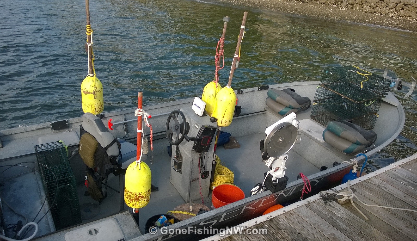 Hood Canal Spot Shrimp All Set To Start Gone Fishing Northwest