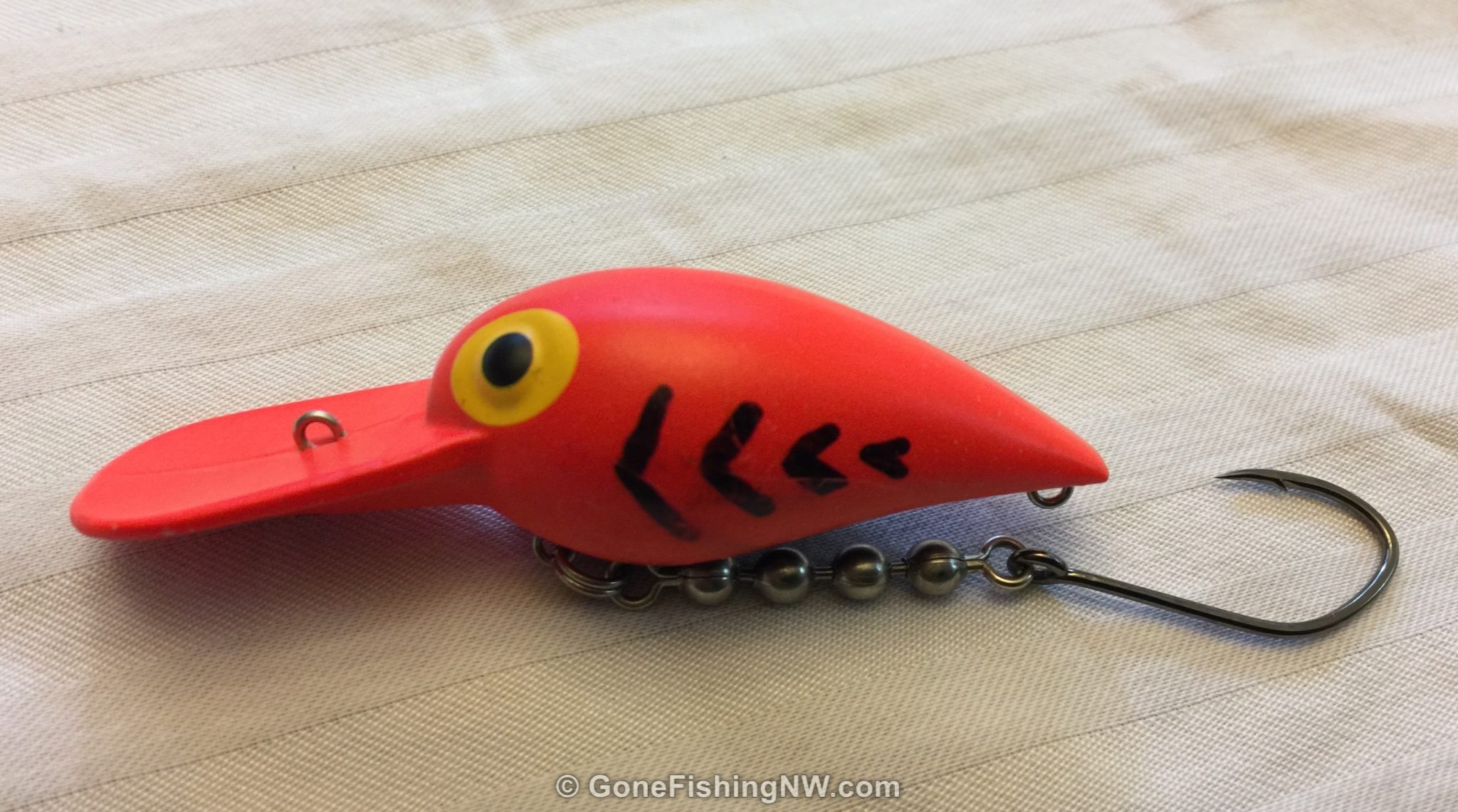 Best How To Guide For Plug Fishing For Steelhead Part 1 Gone