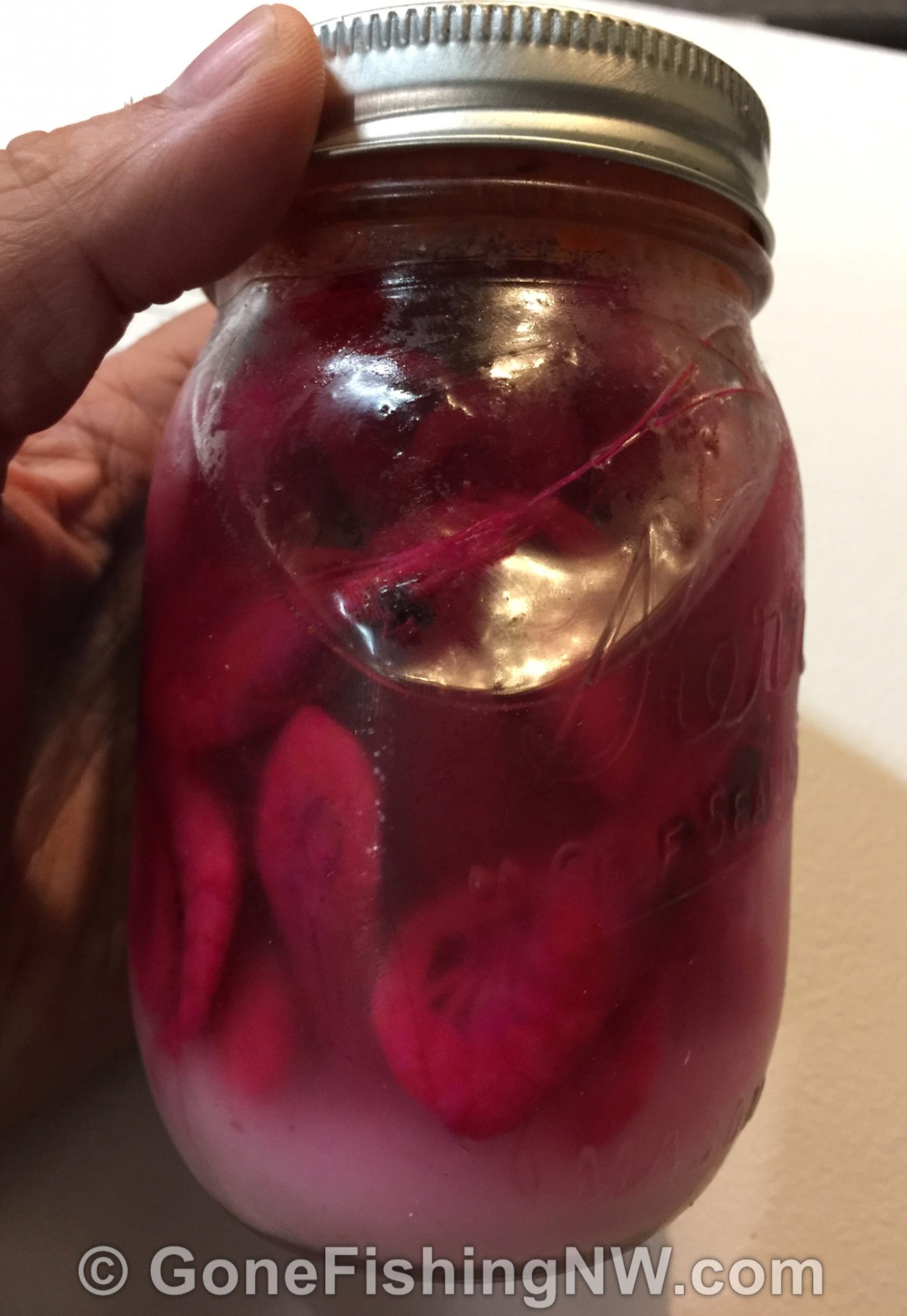 Jar of Cured Coon Shrimp Gone Fishing Northwest