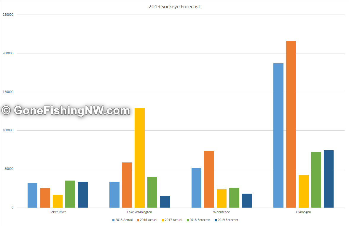 2019 Washington Salmon Forecasts Gone Fishing Northwest