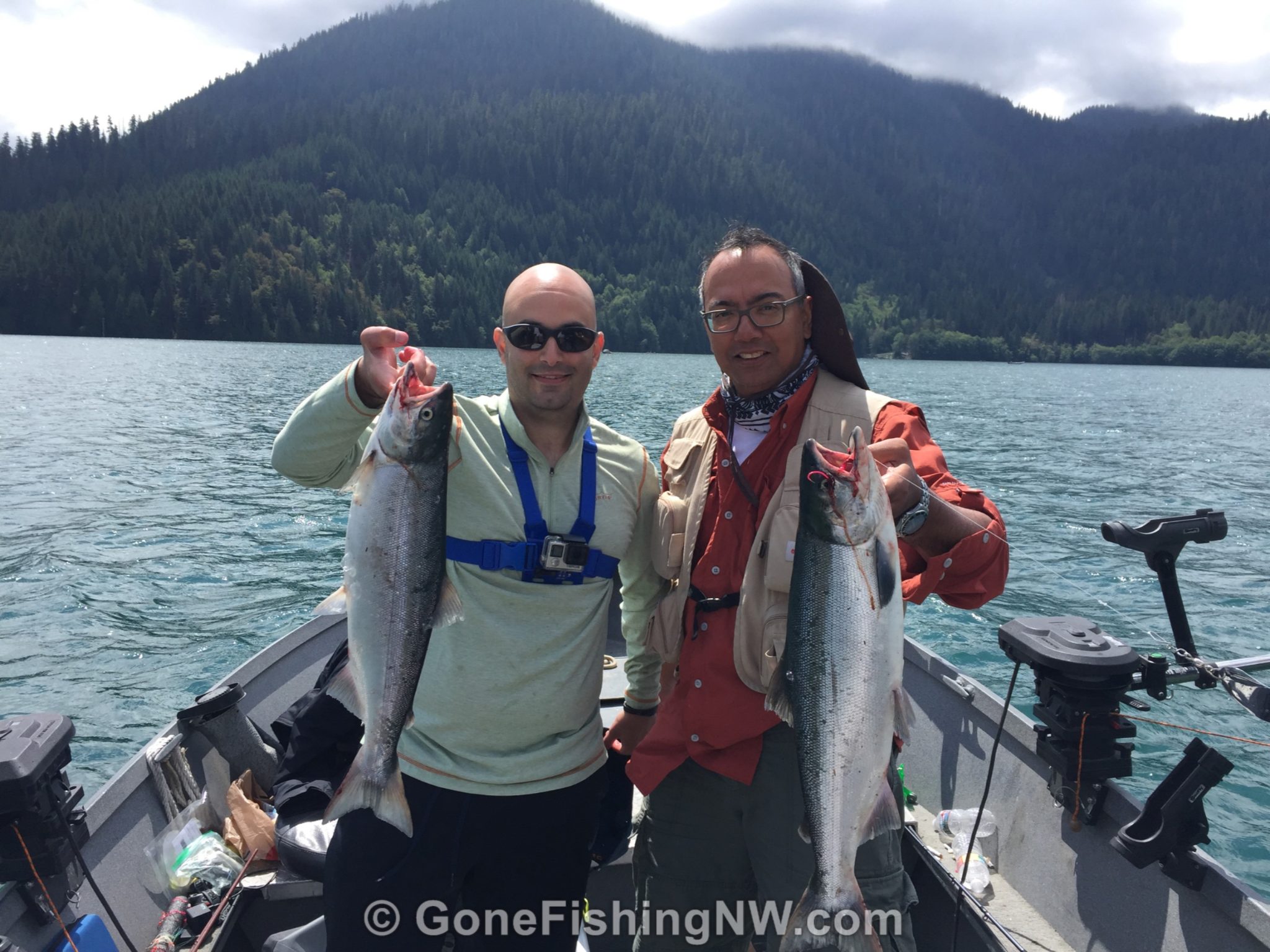Two sockeye salmon after landing a double